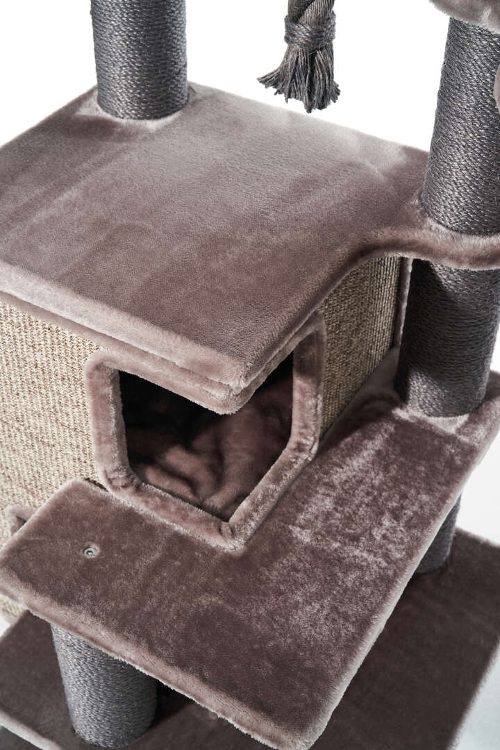 Nobby Kratzbaum Raya